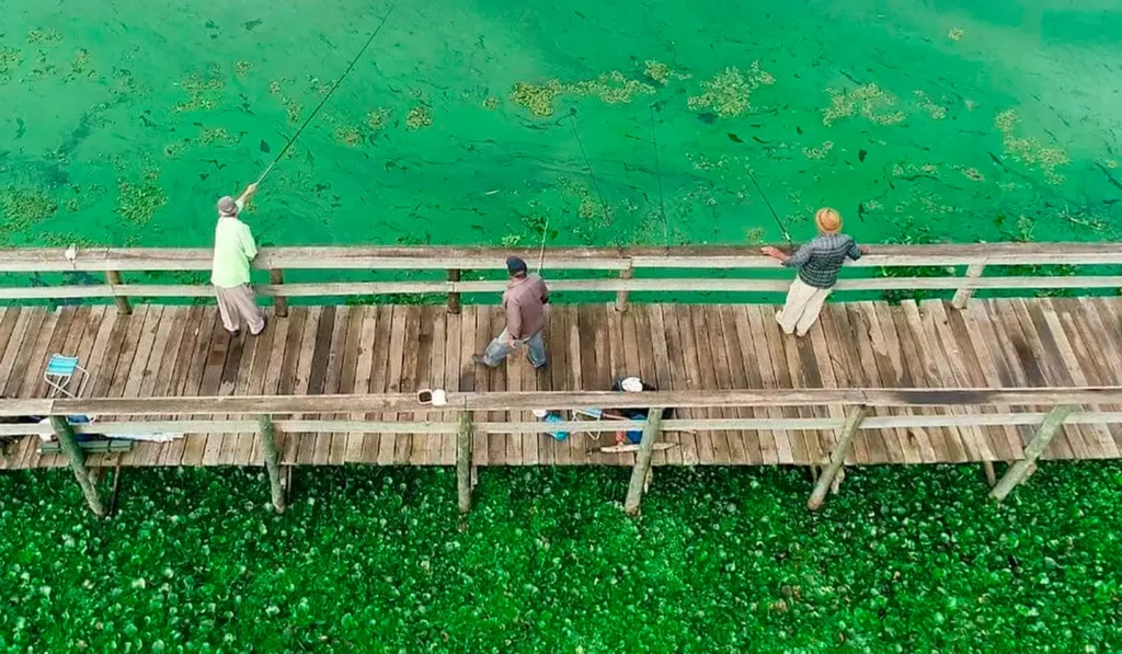 Água verde no Rio Tietê preocupa moradores do interior de SP — entenda o que está acontecendo Agua verde no Rio Tiete preocupa moradores do interior de SP entenda o que esta acontecendo