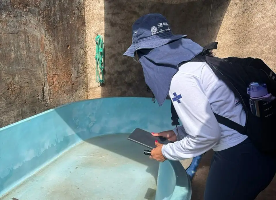 Prefeitura de Araçatuba começa segundo levantamento para saber como anda a infestação de larvas do mosquito da dengue prefeitura comeca novo levantamento para saber infestacao do mosquito