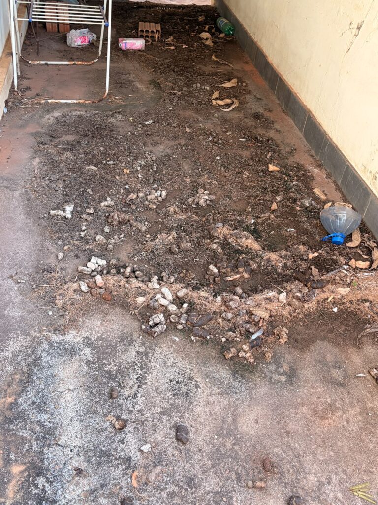 Veterinário de Araçatuba é preso por maus tratos WhatsApp Image 2026 06 10 at 09.18.17