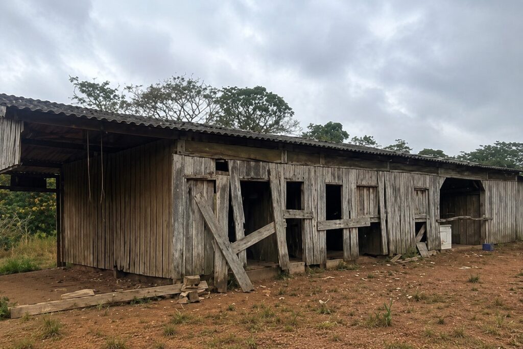 Ação resgata idoso que dormia com porcos e comia 1 vez ao dia trabalhador rural dormia com porcos