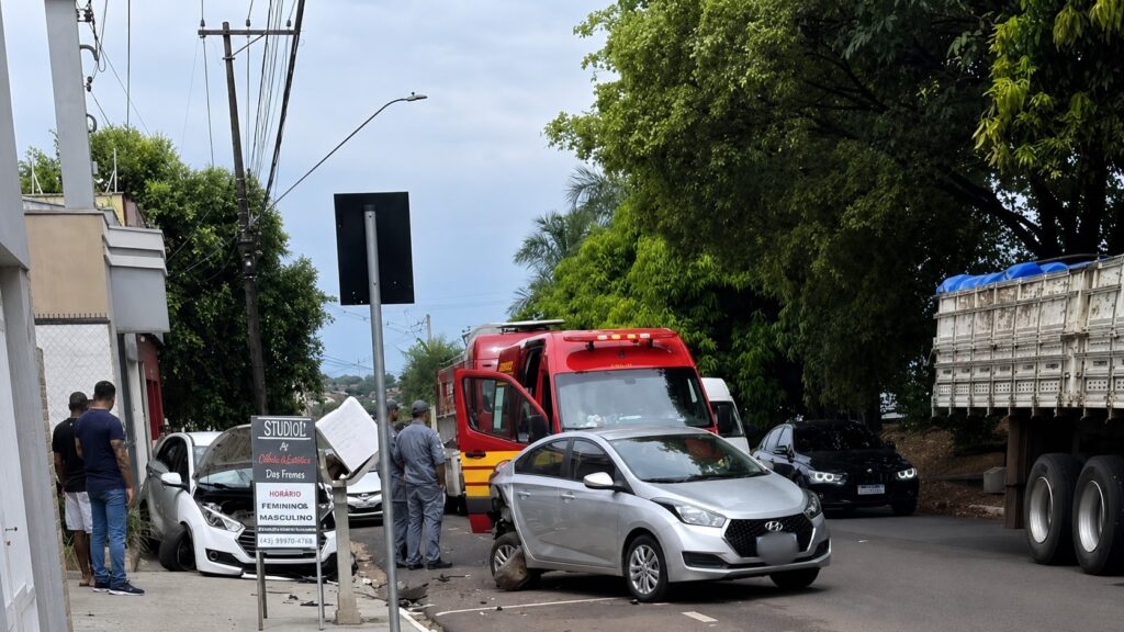 Aracatuba registra 12 ocorrencias com animais soltos em vias e avenidas