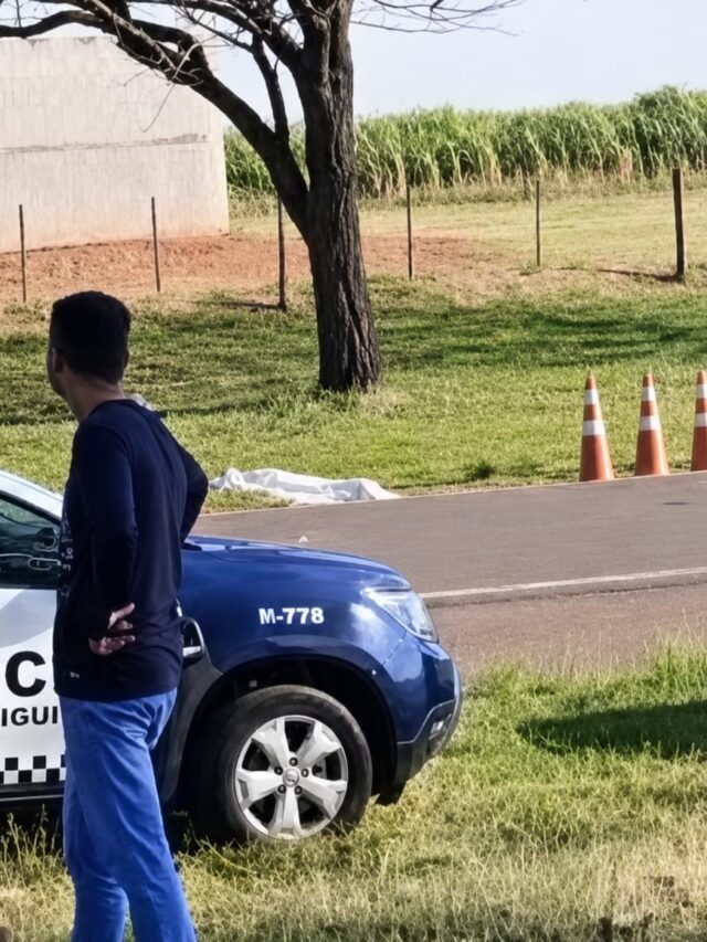 Idoso de 79 anos morre atropelado na estrada em Birigui