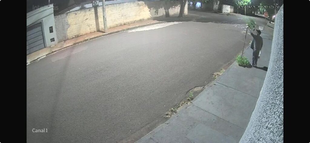 homem e flagrado quebrando arvore em aracatuba