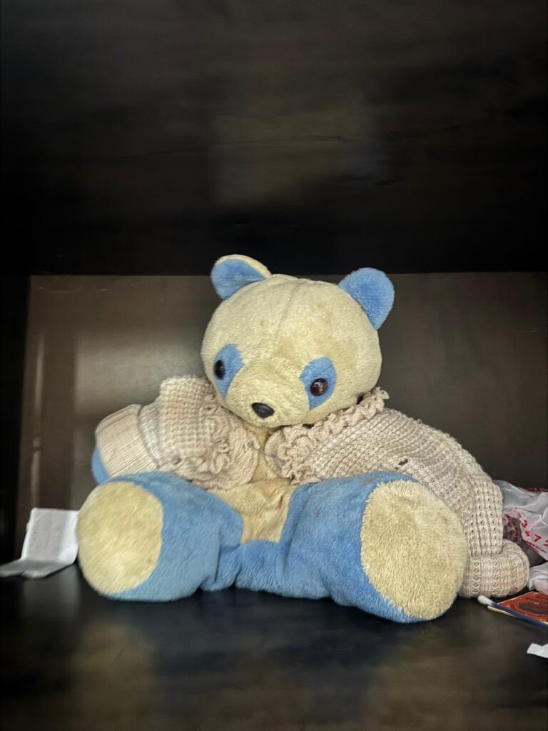 homem e preso pela PF suspeito de pedofilia